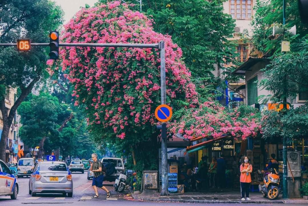 Tropical Land Little Hanoi Homestay Ngoại thất bức ảnh