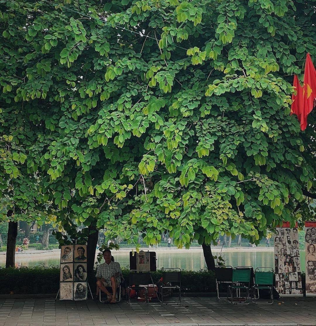 Tropical Land Little Hanoi Homestay Ngoại thất bức ảnh