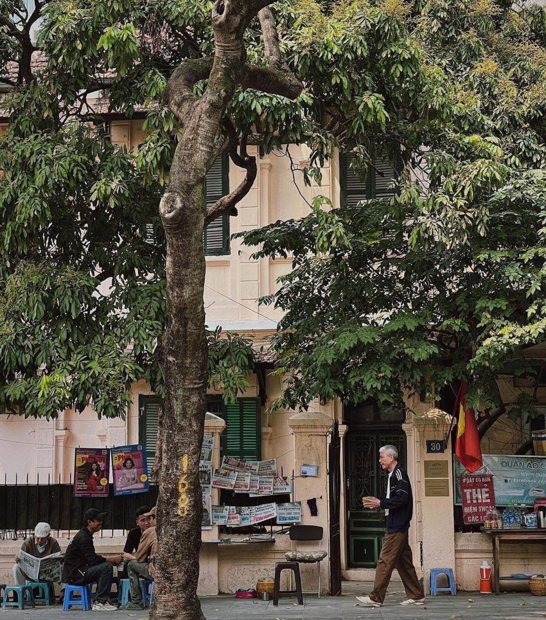 Tropical Land Little Hanoi Homestay Ngoại thất bức ảnh
