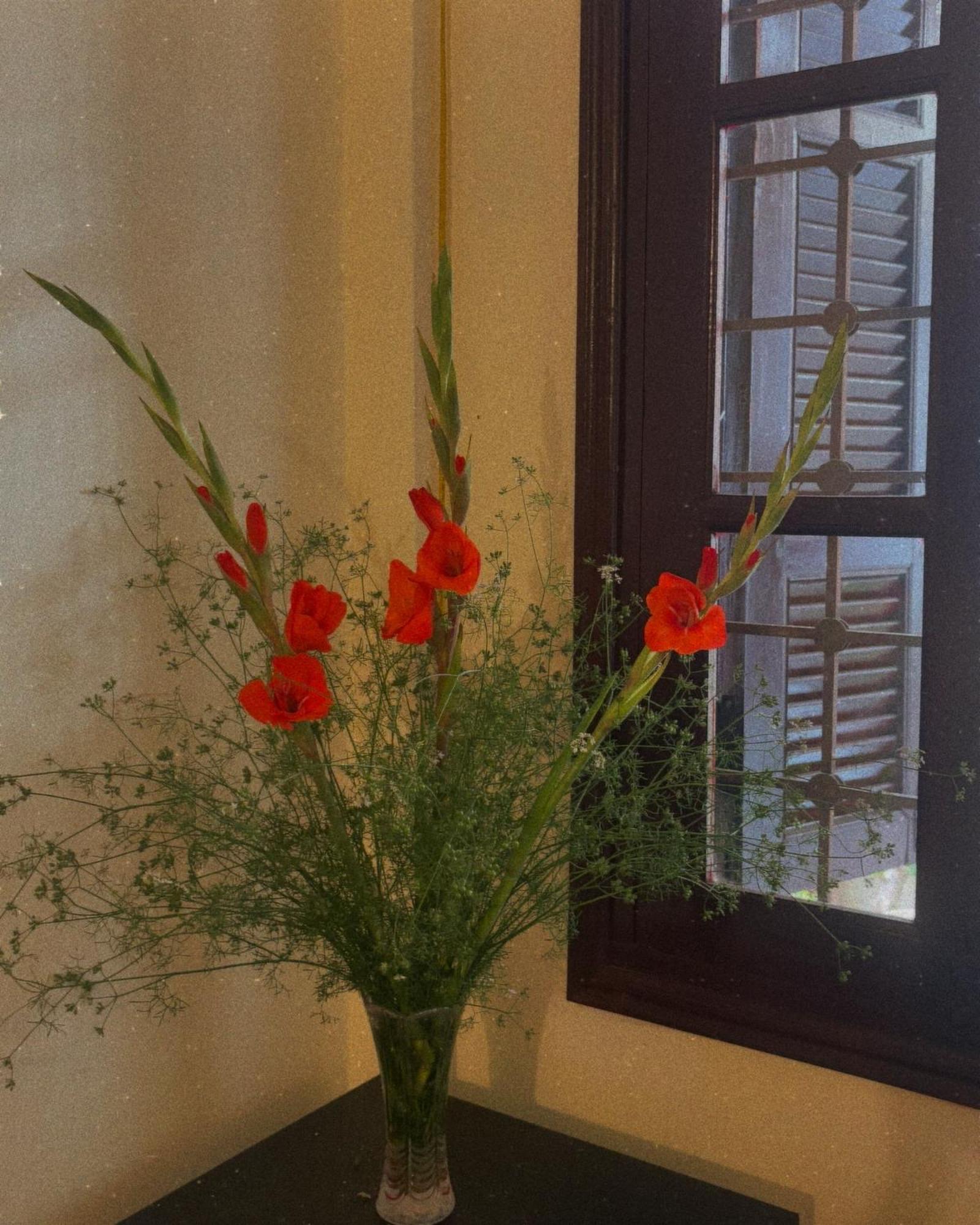 Tropical Land Little Hanoi Homestay Ngoại thất bức ảnh